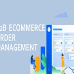 Ways to Expand Your B2B Order Management Wholesale Vape Shop