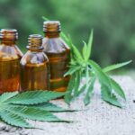 Essential considerations about CBD oil price in India